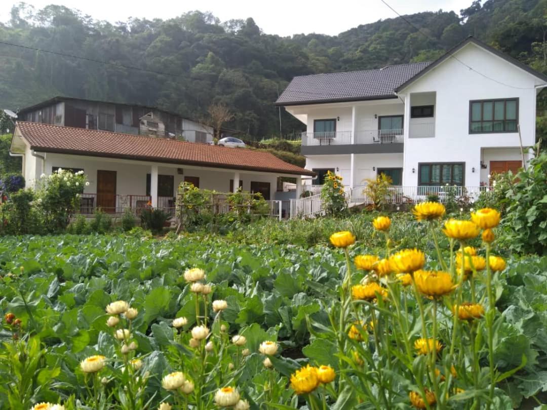Ng Family'S Farm Stay Cameron Highlands Eksteriør billede