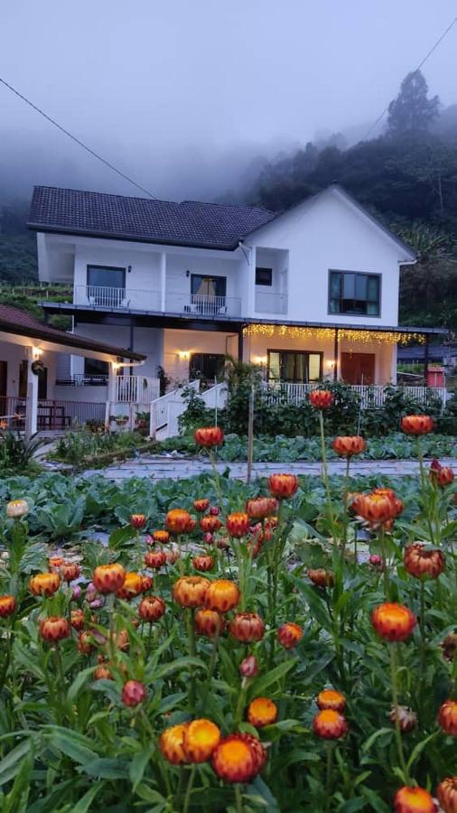 Ng Family'S Farm Stay Cameron Highlands Eksteriør billede